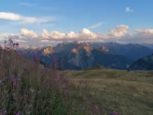 IMG-20220816-WA0010